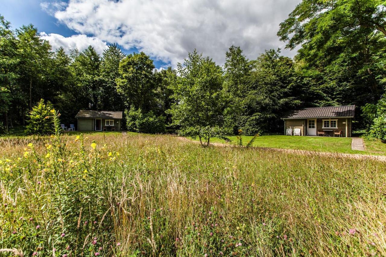 Kievit Villa Appelscha Exterior photo